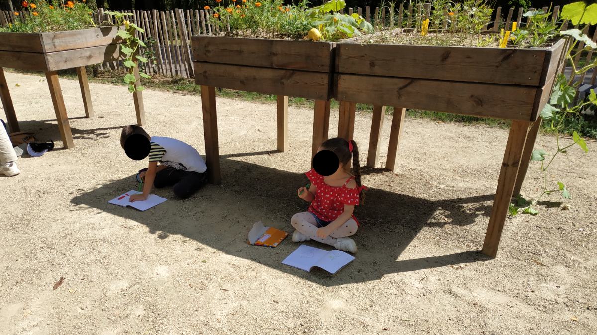Les enfants dessinant les plantes qui leurs plaisent, à l’ombre des bacs PMR