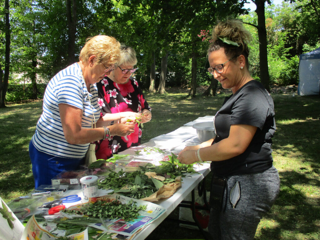 Atelier végétal dans le parc