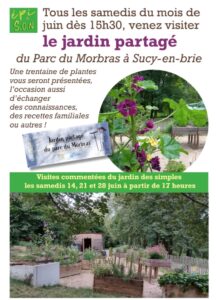 Mais que se passe-t-il au jardin au mois de juin ?